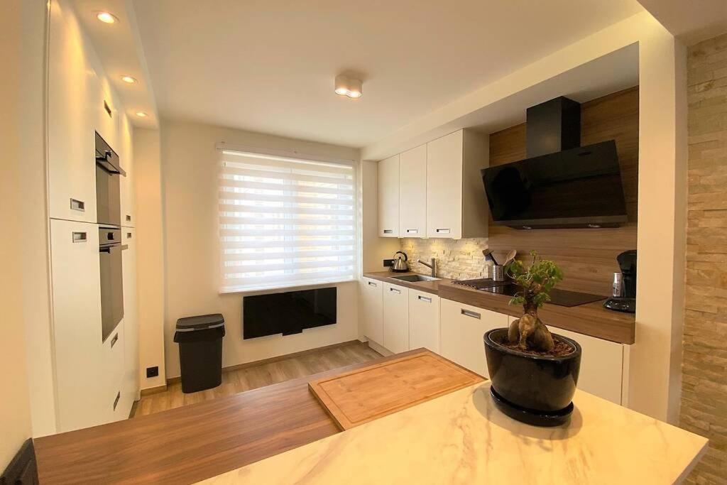 Ozzy 's Place Ostende